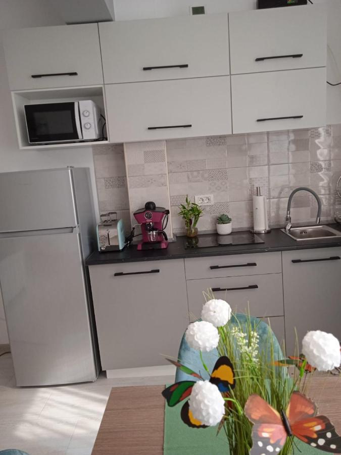 Studio Timeea Mamaia-Nord Năvodari Exterior foto